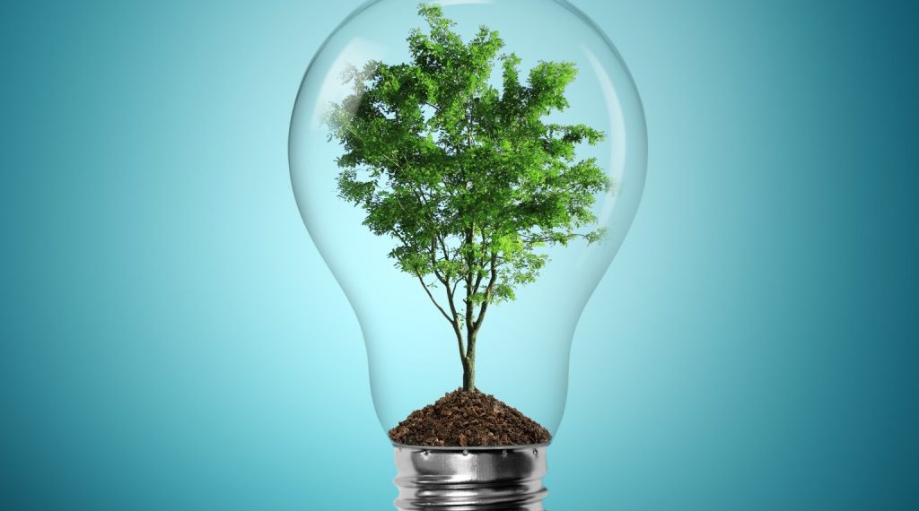 Același preț pentru certificatele verzi și în 2021