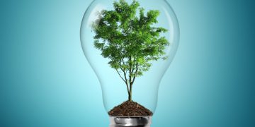 Același preț pentru certificatele verzi și în 2021