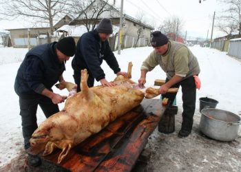 CJUE confirmă interzicerea sacrificării fără asomare a animalelor