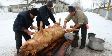 CJUE confirmă interzicerea sacrificării fără asomare a animalelor