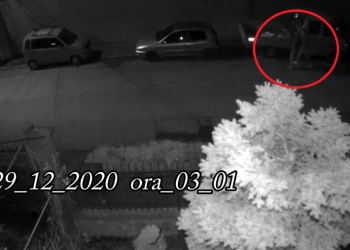 VIDEO. Doi tineri filmați, în toiul nopții, pe o stradă din Oradea, când verificau portierele unor mașini