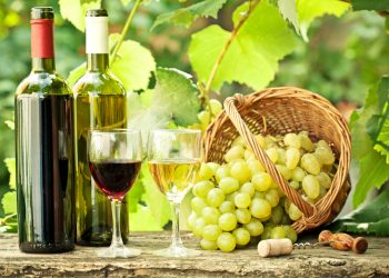 Ajutor de 60 de milioane de lei pentru producătorii din domeniul viticol