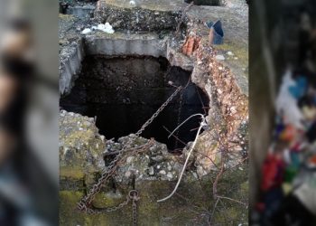 Ucigași de câini, reținuți de Poliție | Au ucis și aruncat într-un bazin de beton trei animale