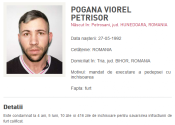 ”Campion” la spargeri | Cu un cazier-FLUVIU și 4 condamnări într-un singur an, un hoț din Bihor a fost dat în URMĂRIRE națională