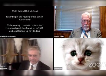 VIRAL. Un avocat s-a transformat în pisică printr-un filtru al aplicației ZOOM, în timpul unei ședințe de judecată online