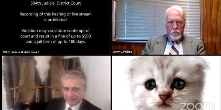 VIRAL. Un avocat s-a transformat în pisică printr-un filtru al aplicației ZOOM, în timpul unei ședințe de judecată online