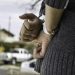 Orădeancă urmărită pentru fraudă cu fonduri COVID în Germania, prinsă în Bihor | A folosit în scop personal 7.000 de euro primiți ca ajutor de la statul german