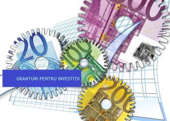 Problemele sesizate de Federația Patronilor Bihor în legătură cu GRANTURILE pentru investiții acordate IMM, verificate de Corpul de Control al premierului