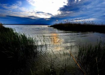 Legea transformării unor zone de agrement și de turism în PARADISURI FISCALE, declarată neconstituțională