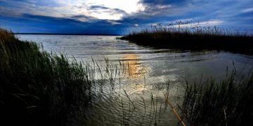 Legea transformării unor zone de agrement și de turism în PARADISURI FISCALE, declarată neconstituțională