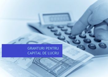 Vin banii pentru granturile din măsura 2 | Sumele ajung la antreprenori după publicarea Legii Bugetului în Monitorul Oficial