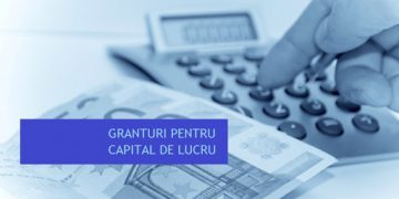 Vin banii pentru granturile din măsura 2 | Sumele ajung la antreprenori după publicarea Legii Bugetului în Monitorul Oficial