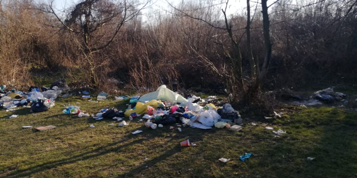 Malurile Crișului Negru, INUNDATE de gunoaie, lângă Beiuș | Imagini ale DEZASTRULUI