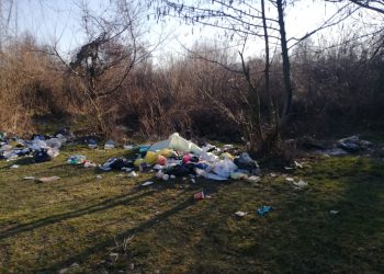 Malurile Crișului Negru, INUNDATE de gunoaie, lângă Beiuș | Imagini ale DEZASTRULUI