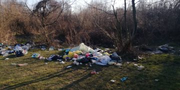 Malurile Crișului Negru, INUNDATE de gunoaie, lângă Beiuș | Imagini ale DEZASTRULUI