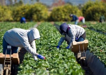 Ce trebuie să știți înainte să plecați la muncă în străinătate | Recomandări făcute de Inspecția Muncii