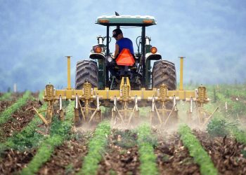 Fermierii îi cer premierului să revină asupra unui act normativ care prevede tăieri de peste 50% din sumele alocate în 2021