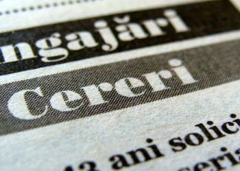 Peste 900 de locuri de muncă sunt oferite de firmele din Bihor, prin AJOFM | Care sunt cele mai căutate meserii