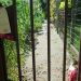 Urmărit internațional pentru o crimă comisă în Franța, un bihorean a fost prins de polițiștii din Salonta