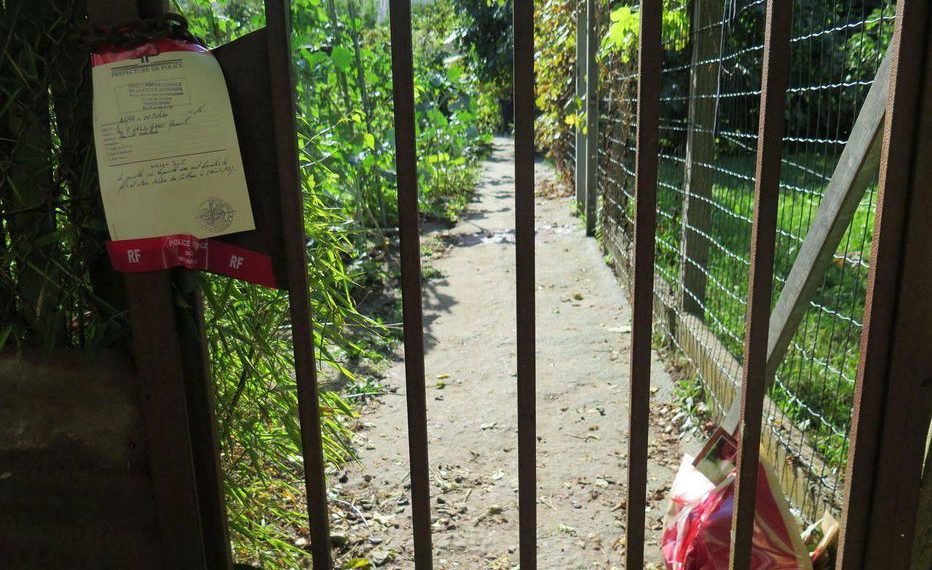 Urmărit internațional pentru o crimă comisă în Franța, un bihorean a fost prins de polițiștii din Salonta