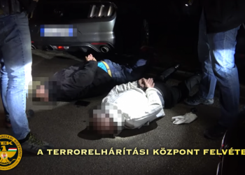 VIDEO. Doi români, implicați într-o rețea care aducea în Ungaria mașini FURATE din mai multe țări europene