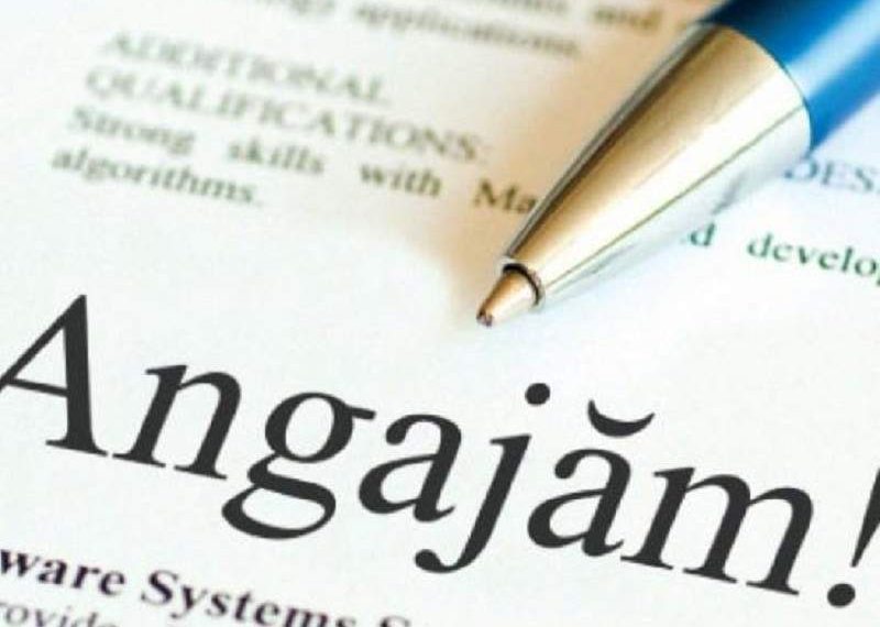 Aproape 900 de locuri de muncă DISPONIBILE în Bihor | Se fac angajări în industria HoReCa