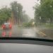 FOTO. Mai mulți copaci doborâți de vânt în Oradea, duminică seară | Probleme și în județ în urma codului portocaliu de furtună