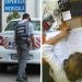 Înțelegere respinsă de Tribunal, acceptată de Curtea de Apel | Asistenta fostului șef al Serviciului de Expertiză Medicală Bihor, condamnată cu suspendare pentru MITĂ