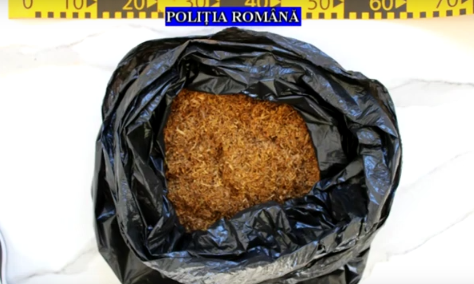 VIDEO. Percheziții în 15 județe, printre care și Bihor, la locuințele unor suspecți trafic și deținere ilegală de tutun