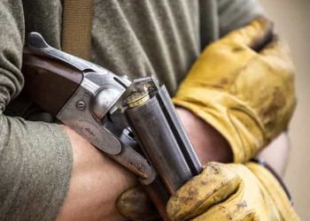 Poliția Bihor: Partida de vânătoare la care un bărbat a fost împușcat în cap era NEAUTORIZATĂ | A fost deschis dosar penal