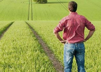 Decizie CJUE | Ajutorul pentru înființarea întreprinderii acordat unui tânăr fermier este condiționat de producția întregii exploatații agricole, nu doar a părții pe care o deține din aceasta