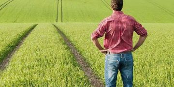 Decizie CJUE | Ajutorul pentru înființarea întreprinderii acordat unui tânăr fermier este condiționat de producția întregii exploatații agricole, nu doar a părții pe care o deține din aceasta