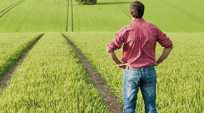 Decizie CJUE | Ajutorul pentru înființarea întreprinderii acordat unui tânăr fermier este condiționat de producția întregii exploatații agricole, nu doar a părții pe care o deține din aceasta