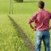 Decizie CJUE | Ajutorul pentru înființarea întreprinderii acordat unui tânăr fermier este condiționat de producția întregii exploatații agricole, nu doar a părții pe care o deține din aceasta