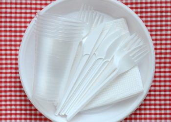 Farfuriile, tacâmurile și paharele din plastic NU vor mai fi vândute în România | Guvernul va adopta săptămâna viitoare o ordonanță în acest sens