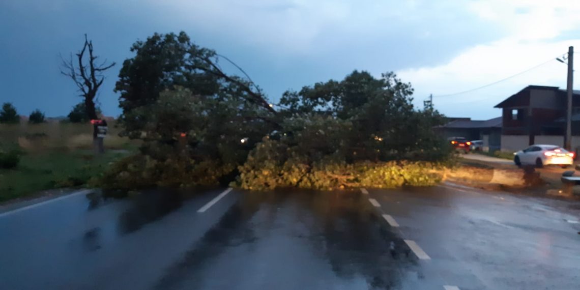 FOTO-VIDEO | Pagube produse de vijelia de duminică, în Bihor | Copaci căzuți pe mașini, acoperișuri smulse de vânt, incendiu cauzat de trăsnet în Oradea