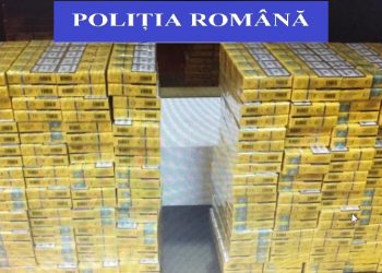 Lovitură pentru contrabandiști | 170.000 de țigări de contrabandă confiscate în urma unui flagrant delict, în Oradea