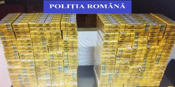 Lovitură pentru contrabandiști | 170.000 de țigări de contrabandă confiscate în urma unui flagrant delict, în Oradea