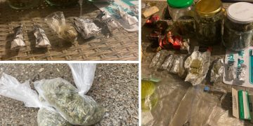 Dealer de cannabis din Satu Mare, reținut de DIICOT