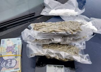 Tânăr prins de polițiștii antidrog din  Oradea în timpul unei tranzacții cu droguri | Încerca să vândă cannabis și amfetamină