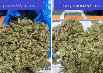 Doi suspecți, reținuți de DIICOT pentru trafic de droguri | Voiau să vândă 2,5 kilograme de cannabis