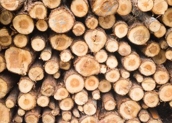 TVA de 5% pentru lemnele de foc