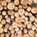 TVA de 5% pentru lemnele de foc