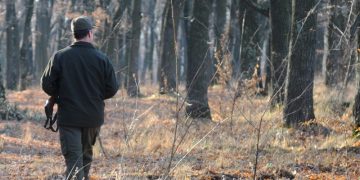 Pedepse mai mari pentru cei ce agresează pădurari