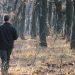 Pedepse mai mari pentru cei ce agresează pădurari