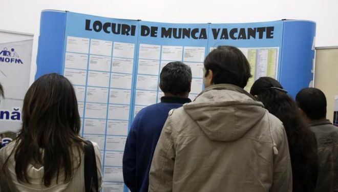 Oferta de locuri de muncă în Bihor | Peste 1300 de posturi  vacante în județ