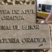 Demisie la Tribunalul Bihor |  Judecătoarea Veronica Ioniță renunță la funcția de președinte a Secției penale