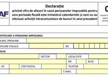 Firmele au termen până azi pentru depunerea Declarației 094