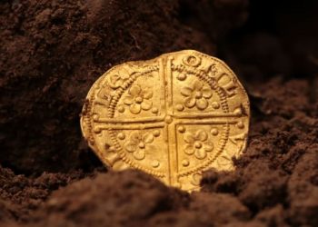 Moneda care valorează 500.000 de dolari