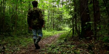 Pedepse înăsprite | Violența împotriva pădurarilor, pedepsită la fel ca în cazul jandarmilor și polițiștilor